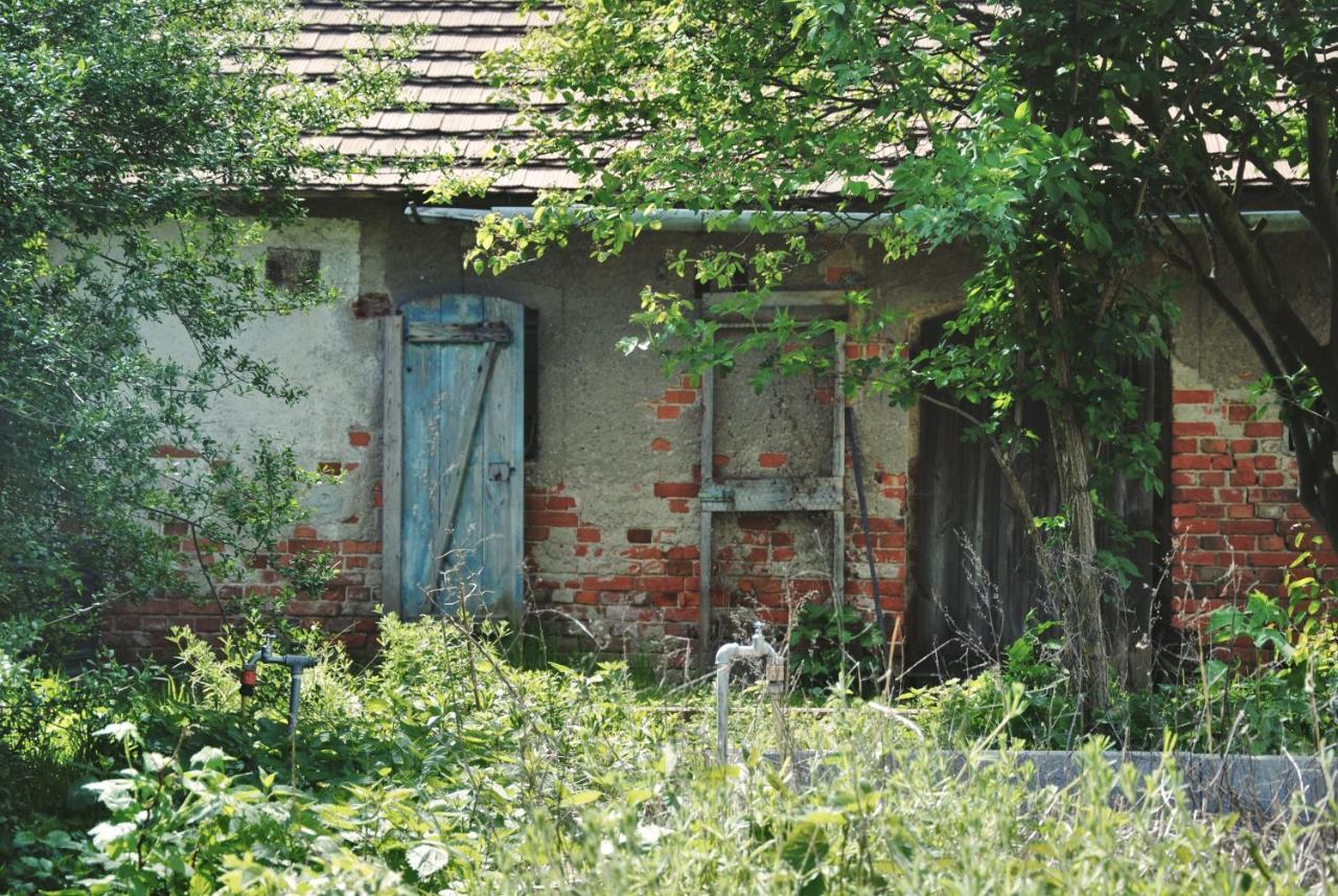 Ferienhaus Erna 도벌러그컬켄 외부 사진